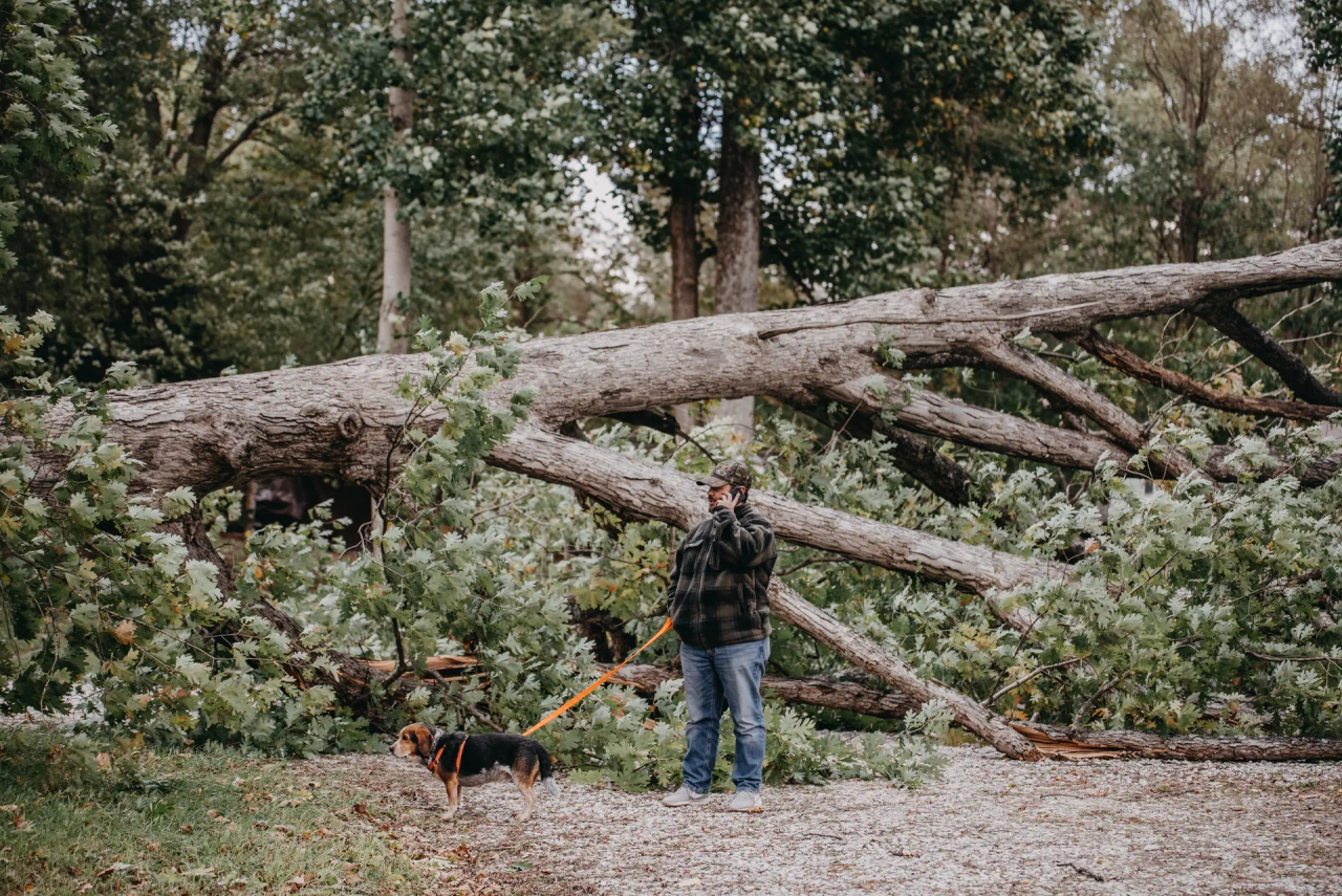 A man making a phone call in front of a large tree downed by storms